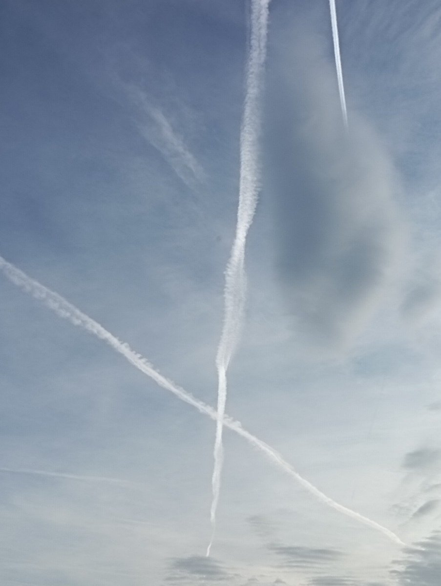 Koenig m.b. tweet media