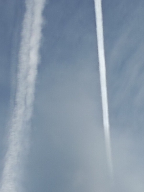 Koenig m.b. tweet media