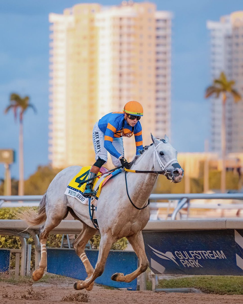 Equine MediRecord (EMR) tweet media