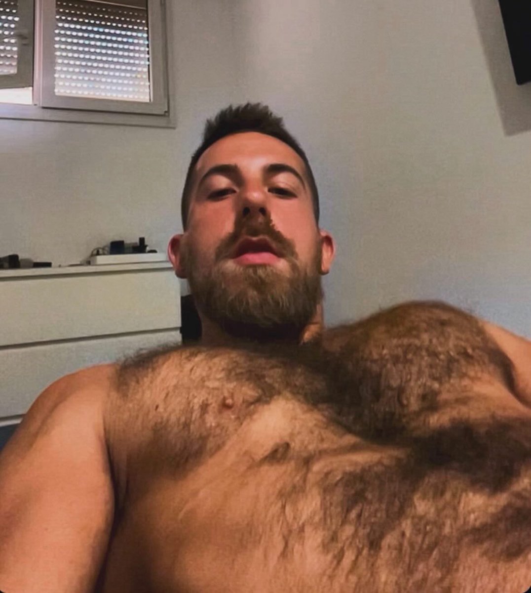 ABaldubear's tweet photo. #Palmeiras #Bears #marra https://t.co/911AaKIPQG