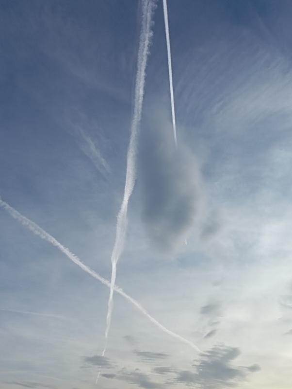 Koenig m.b. tweet media