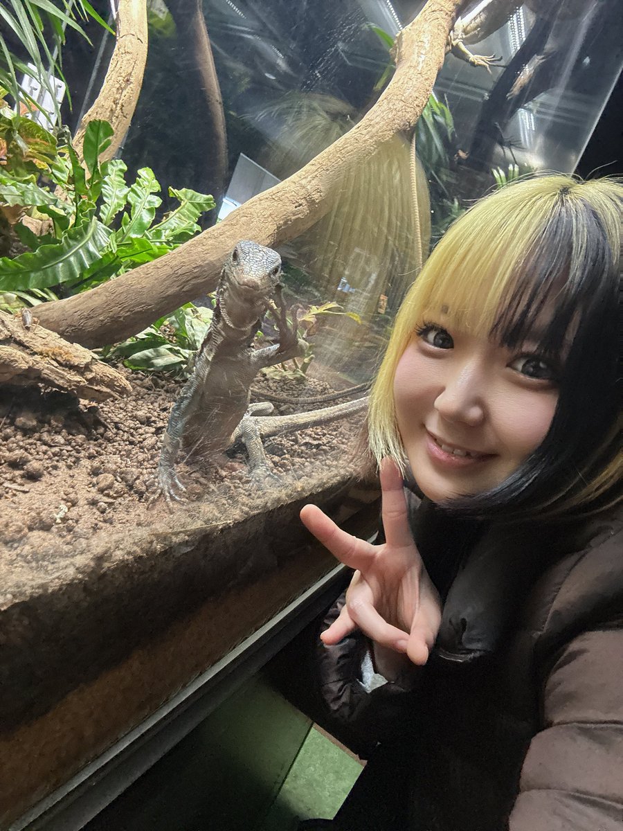 ミカゲページ WXDi-CP02-052P 聖園ミカ SRP【青箔押し】 | WIXOSS,WXDiシリーズ