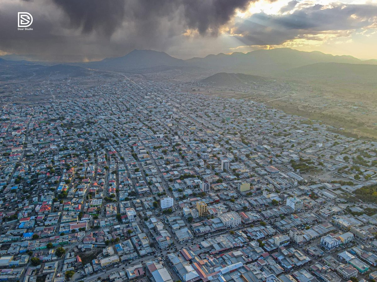 Adali 🌴 tweet media