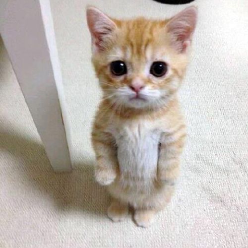 luvginjay's tweet image. I don't see any difference @ginnynatnicha 

#ginnynatnicha #GinJay