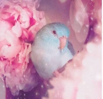 Jagoodka1's tweet photo. BUILD OUR BLUEMING FLOWER
#FlowersForBuild @JakeB4rever
The flowers The aesthetic https://t.co/qJeUNzQ08o