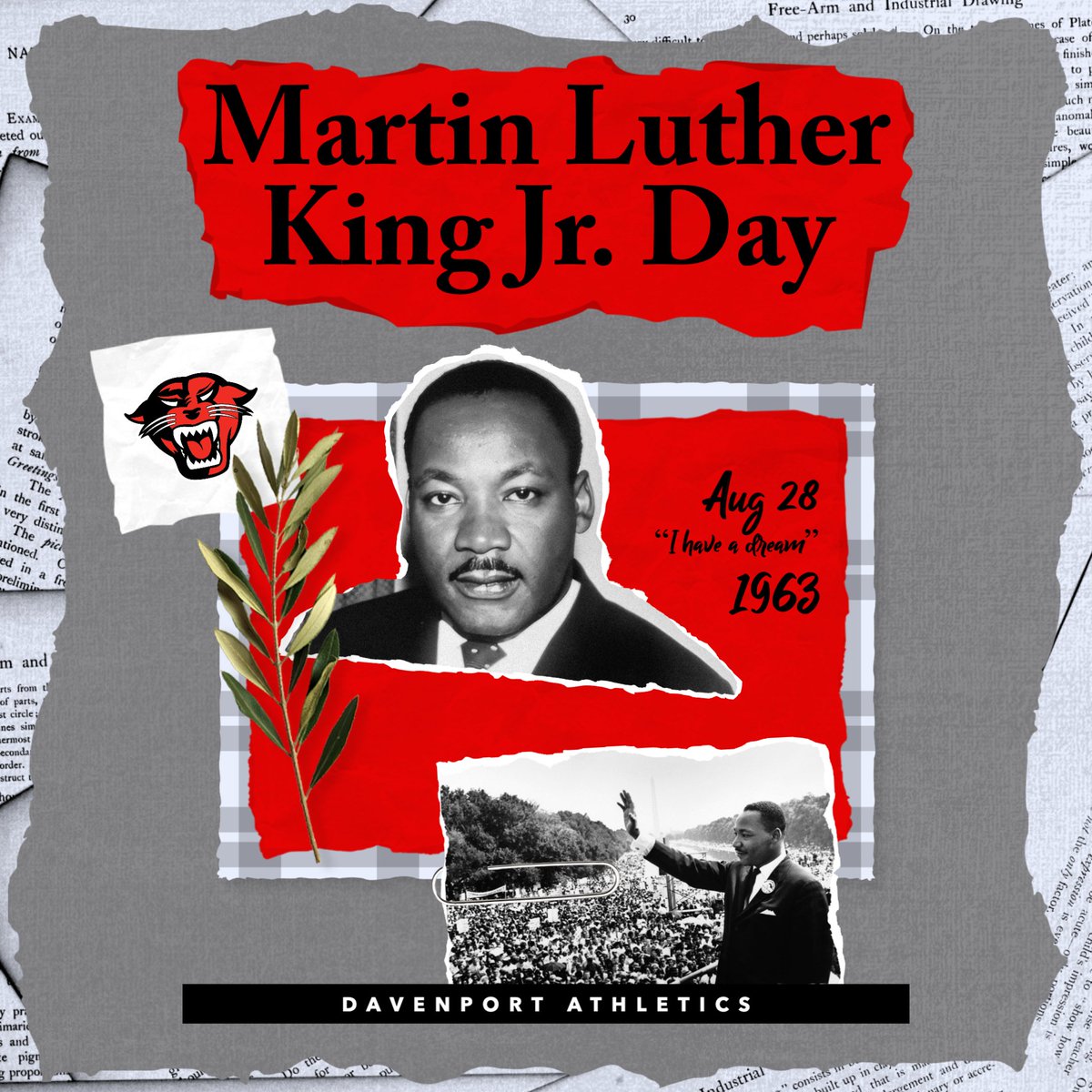 Davenport Panthers tweet media