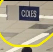 Lola la Chola tweet media