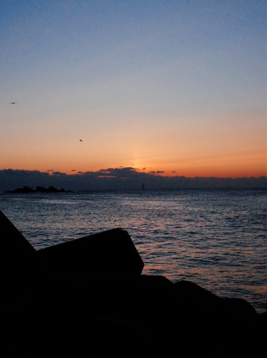 _9030_always's tweet photo. 1월1일 강원도 고성 해돋이 🌅🌅🌅 https://t.co/fp65Hr5RQH