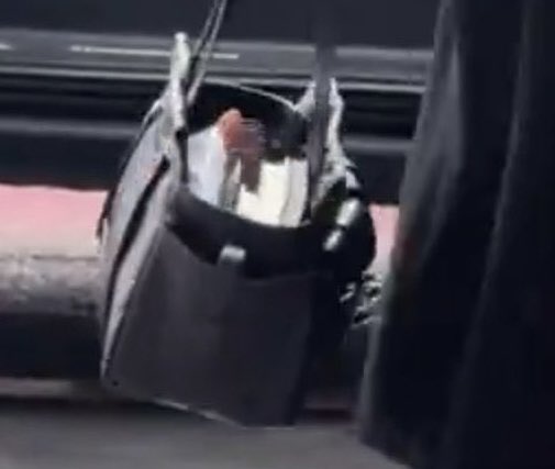 mmmingbb's tweet image. 가방안에 언뜻봐도 책+공책 한 5,6권 있어보임
끝쪽엔 돼지필통도 꽂혀있는 거 같고.. 한결같은 여자좋음