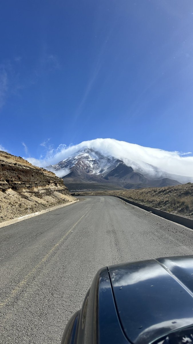 Joe McGrath tweet media