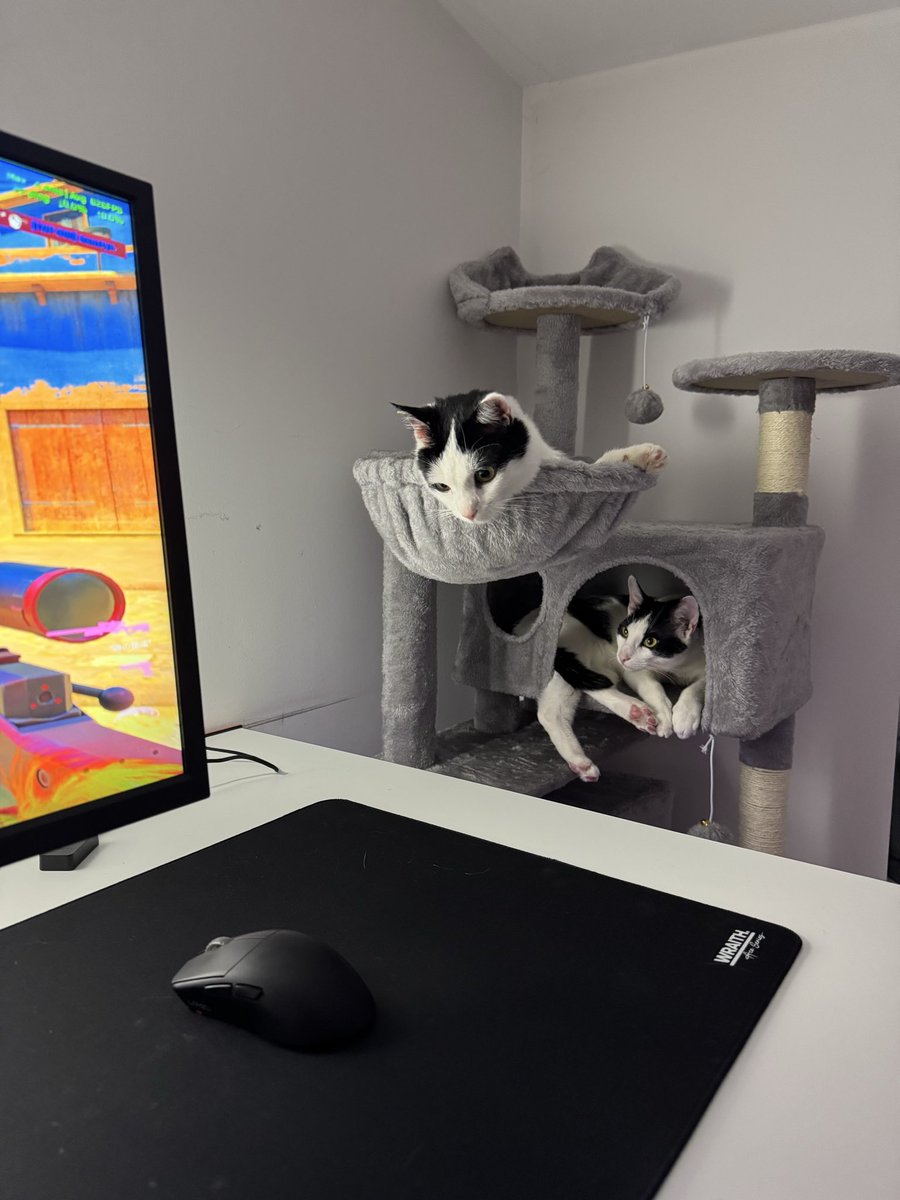 benstye🌹 tweet media