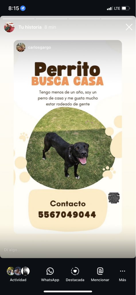 diego rico tweet media