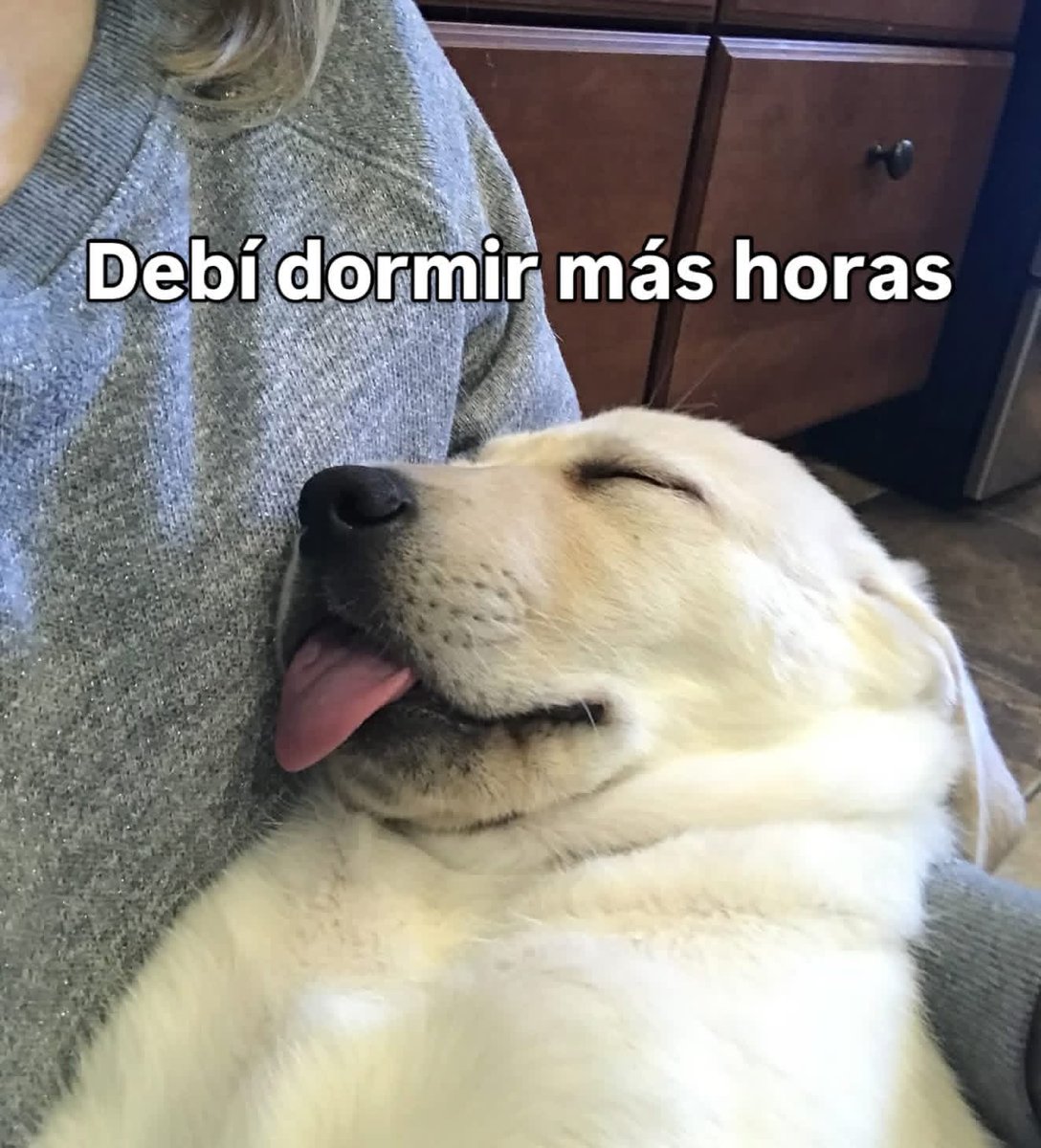 L U N E S