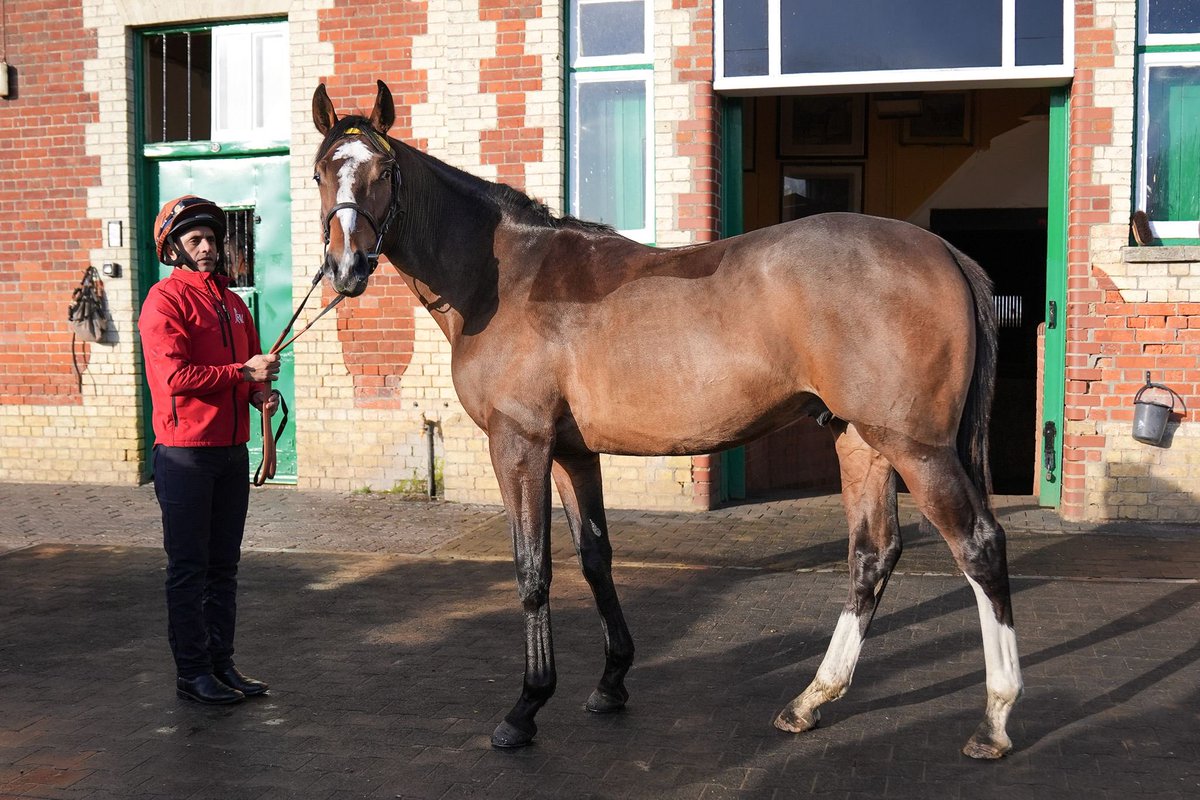 Nick Brown tweet media