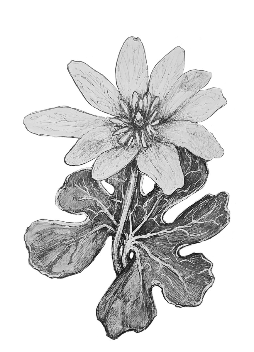 Matt Stansberry tweet media