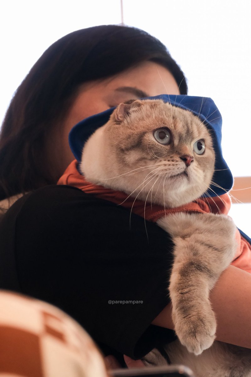 วันนี้พิซาร์ ชีเสิร์ฟสุดๆ หมวกติดฮิปฮอป เอียงเล็กๆเป็นสไตล์ค้าบบบ ✨

GULF HAZARD​ KANTE WITH VIF   
#VIFTokenSS2withBA 
#GulfKanawut <a href="/gulfkanawut/">gulfkanawut</a>