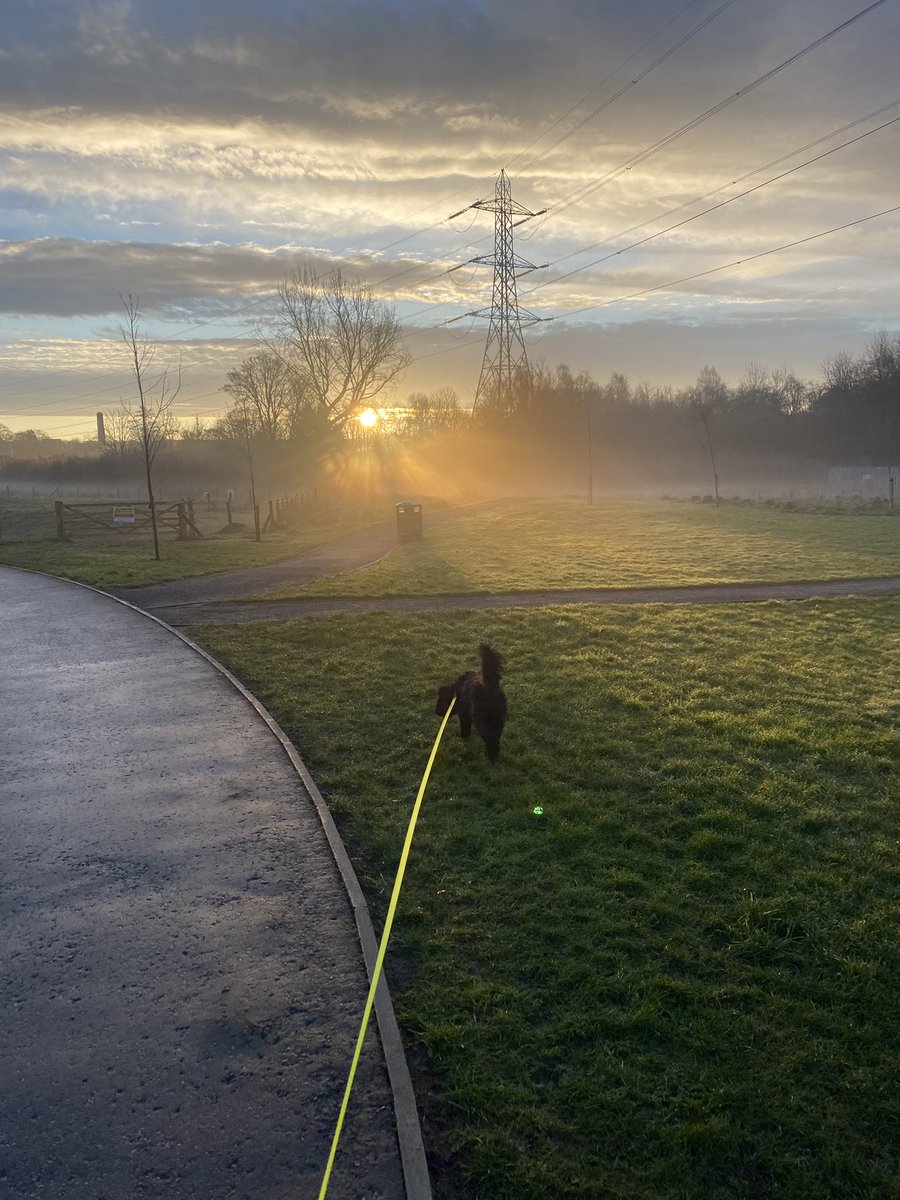 LauraEWhite20's tweet photo. Misty morning big walks, takes out of you😂🐾🥰 https://t.co/w2vtzYQixV