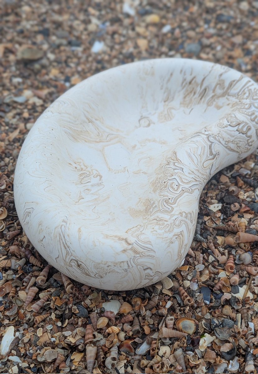 Jennifer Delaney tweet media