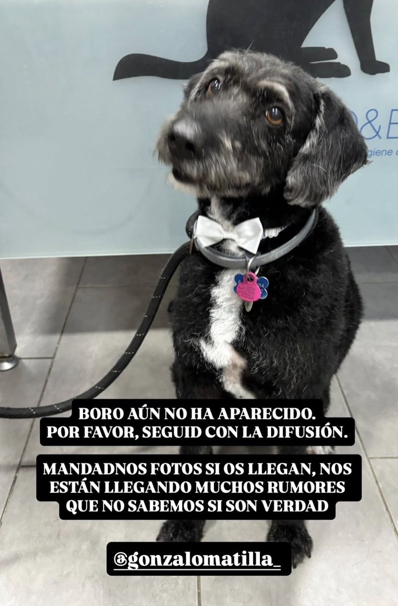 K0yk0's tweet photo. @clara_pita74456 @aliperez96 La familia sigue buscando en sus redes sociales https://t.co/ay5UGCnvzL