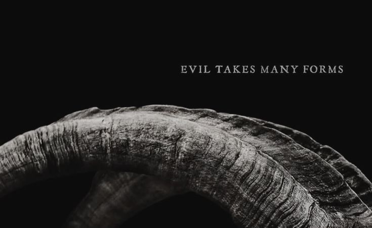 𝗡𝗢𝗥𝗧𝗛. tweet media