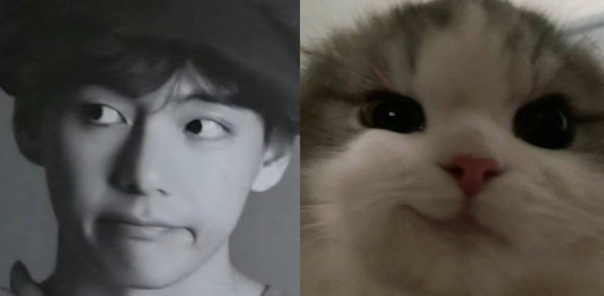 daisthvy's tweet image. 