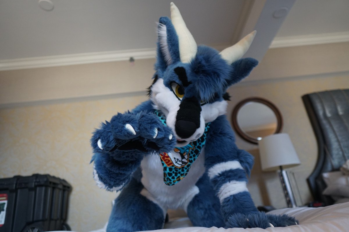 dirdwolf @ lvfc tweet media