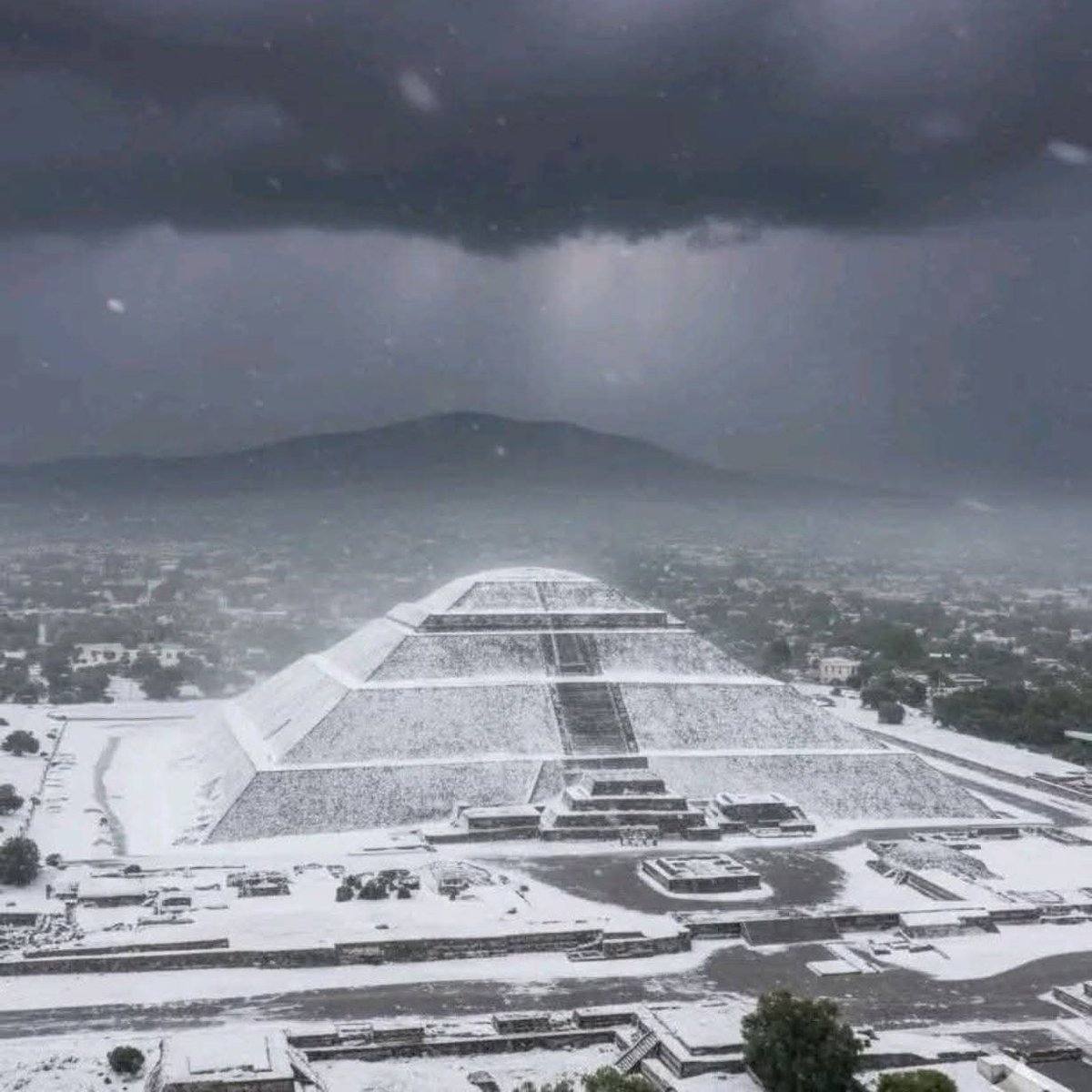 The Mr Quetzalcoatl tweet media