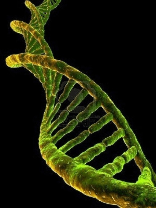 Matthew LaBosco tweet media