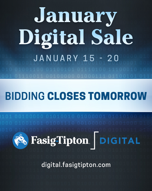 🌐 There are 75+ horses of racing age on offer at the January Digital Sale on #FasigDigital! Bidding closes Tuesday, January 20, at 2 PM ET.

Past performances ➡️ fasigtipton.co/4pGTZHa
Horses of racing age ➡️ fasigtipton.co/4a3PZLt
