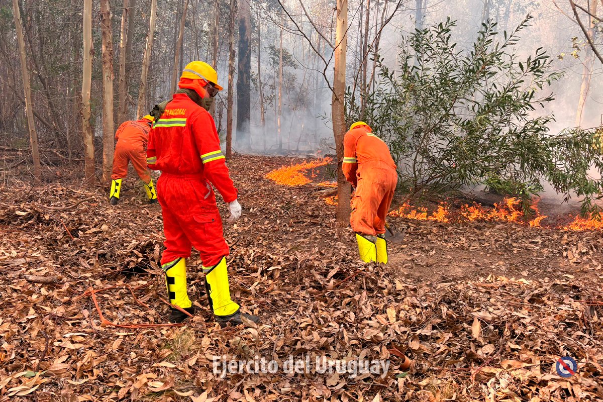 EjercitoUy's tweet photo. Esta madrugada, a las 05:30 h, se activó la Sección de Apoyo a Emergencias del Batallón de Infantería Mecanizado N°12, aproximadamente 30 efectivos trabajan en apoyo a Bomberos para extinguir el #incendioforestal que se propagó en el Balneario La Esmeralda, dpto. de #Rocha. https://t.co/j6WIeyEdig