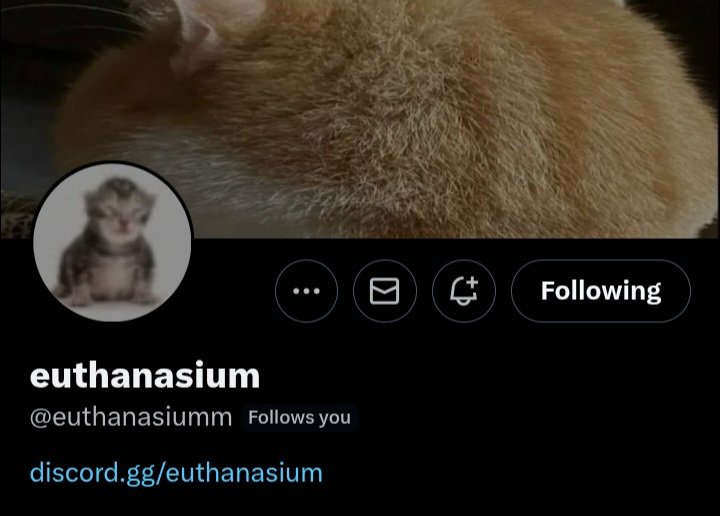 🔞PanPan🔞 tweet media