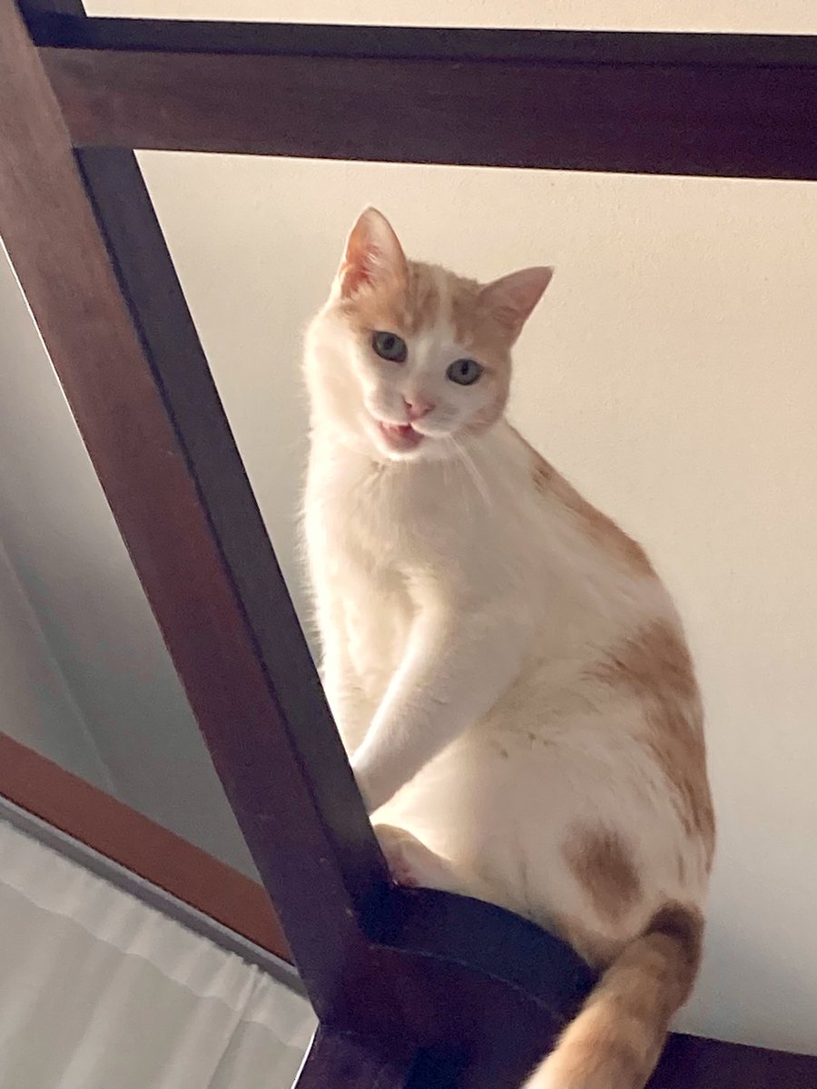 - Cosa provi quando mi vedi?

- A cambiare strada, provo a cambiare strada 
🤷🏻‍♂️😜😂😂😂