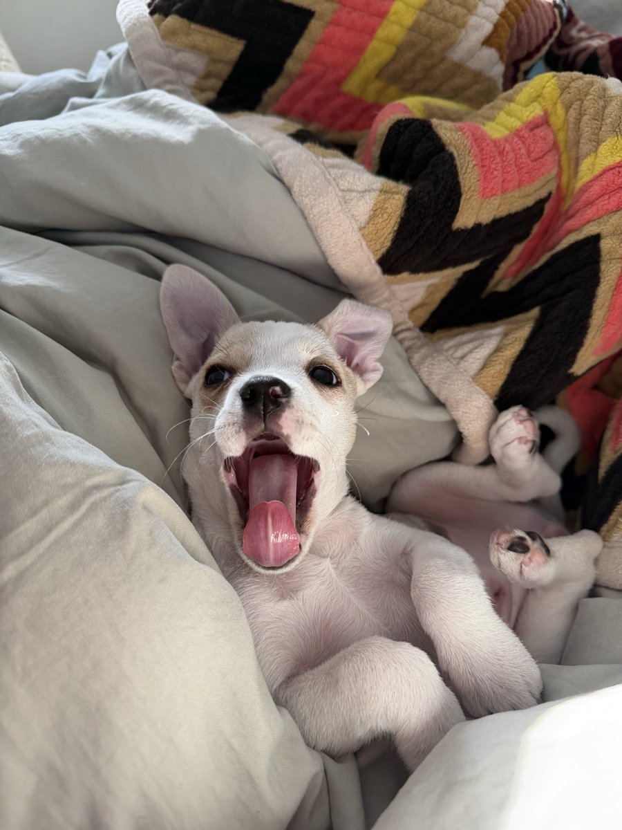 kb (lil florida) tweet media