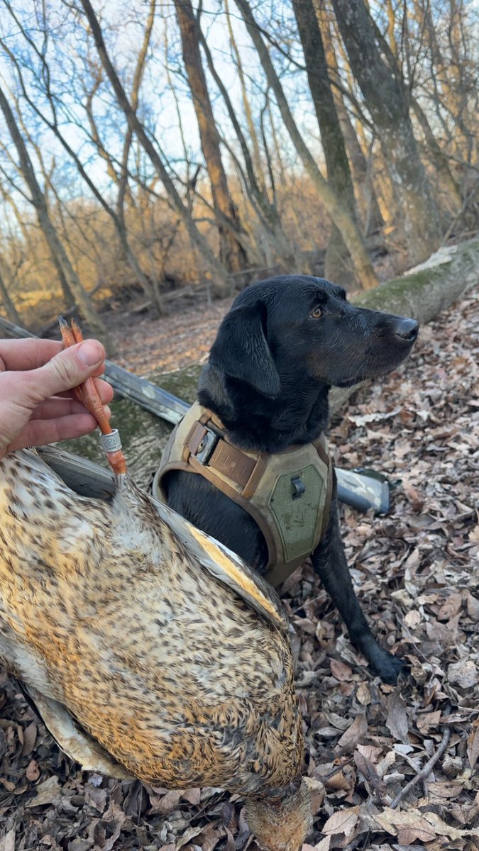 Hey Alexa, que “It don’t get any better than this” by George Jones.
