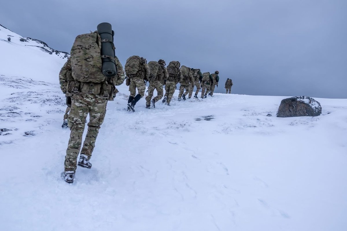 Orla Joelsen tweet media