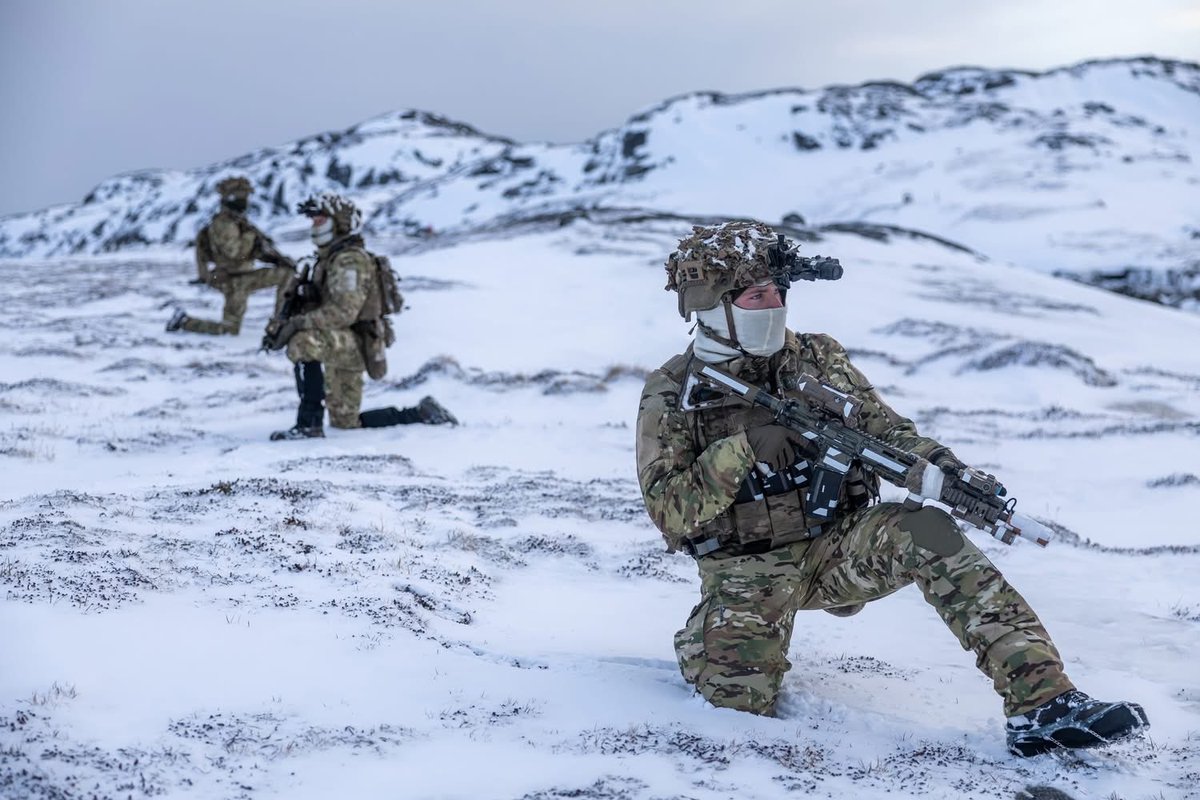 Orla Joelsen tweet media