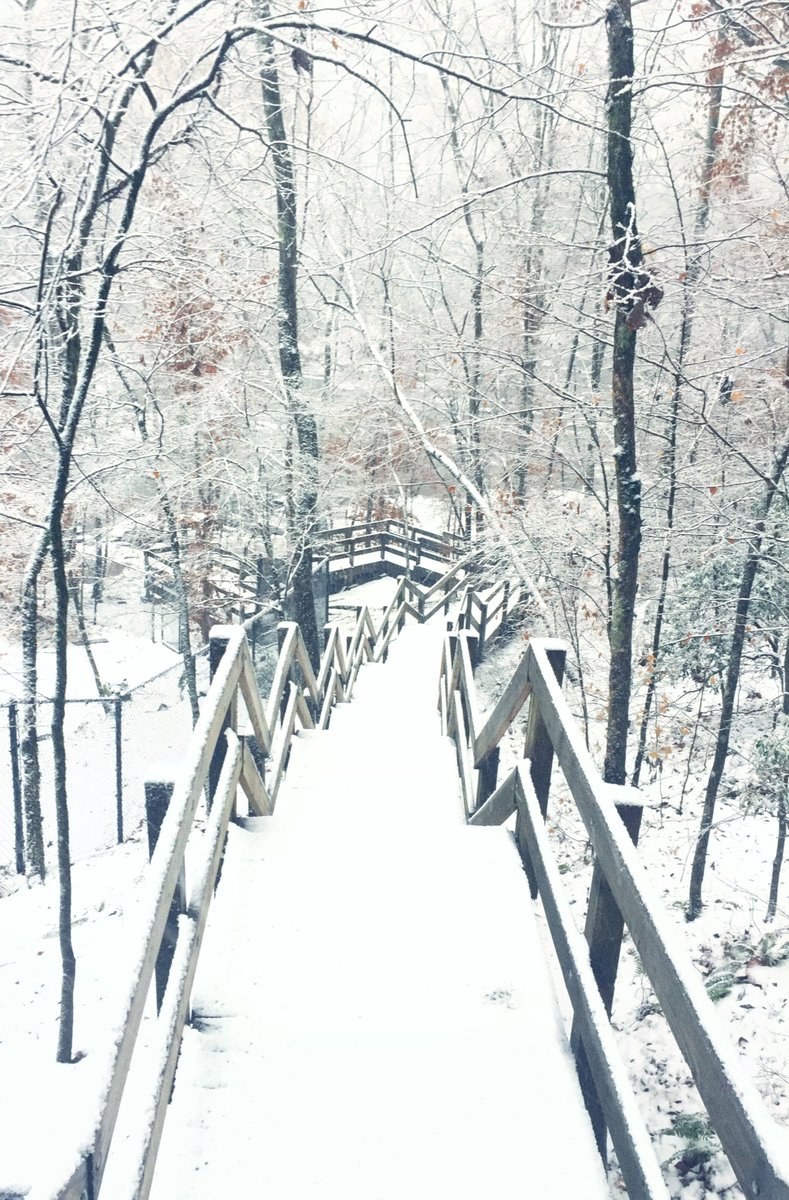 Just take the first step 
Wishing y’all a wonderful week ✨🍀💕