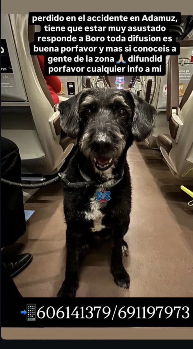 Juan Ramón Lucas 🐴 (@juanralucas) on Twitter photo 