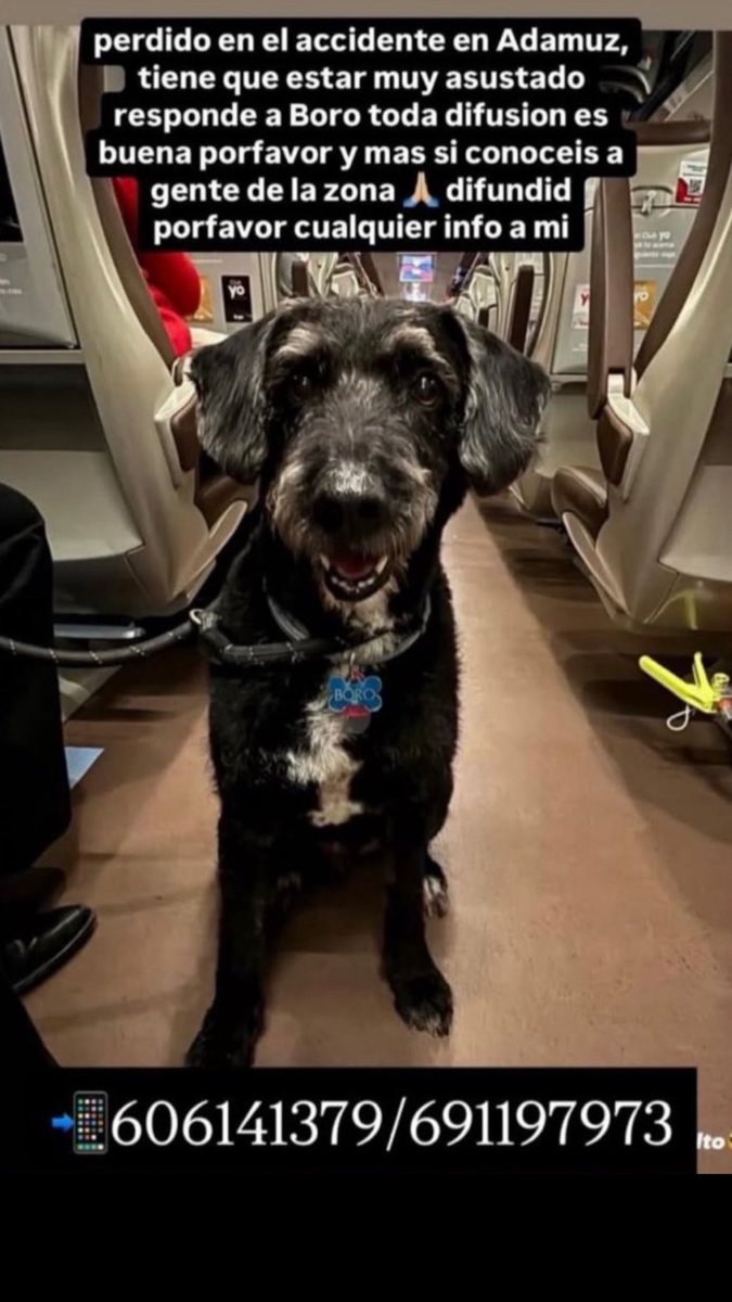 Karla6205852's tweet image. yo no entiendo a que van a esperar para hacer una abatida para buscar a boro y mas sabiendo que esta en la zona, que van a esperar a que empiecen los trenes a pasar y sea mas peligroso para todos? no entiendo vaya