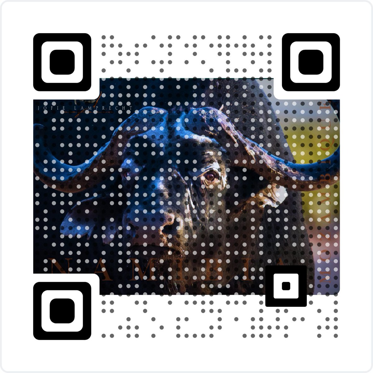 Jofie Lamprecht Safaris 2026 brochure

canva.com/design/DAG-DfN…