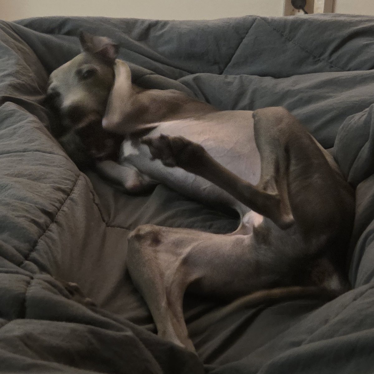 우리파이 tweet media