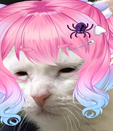 _pixieevt_'s tweet image. when bank account