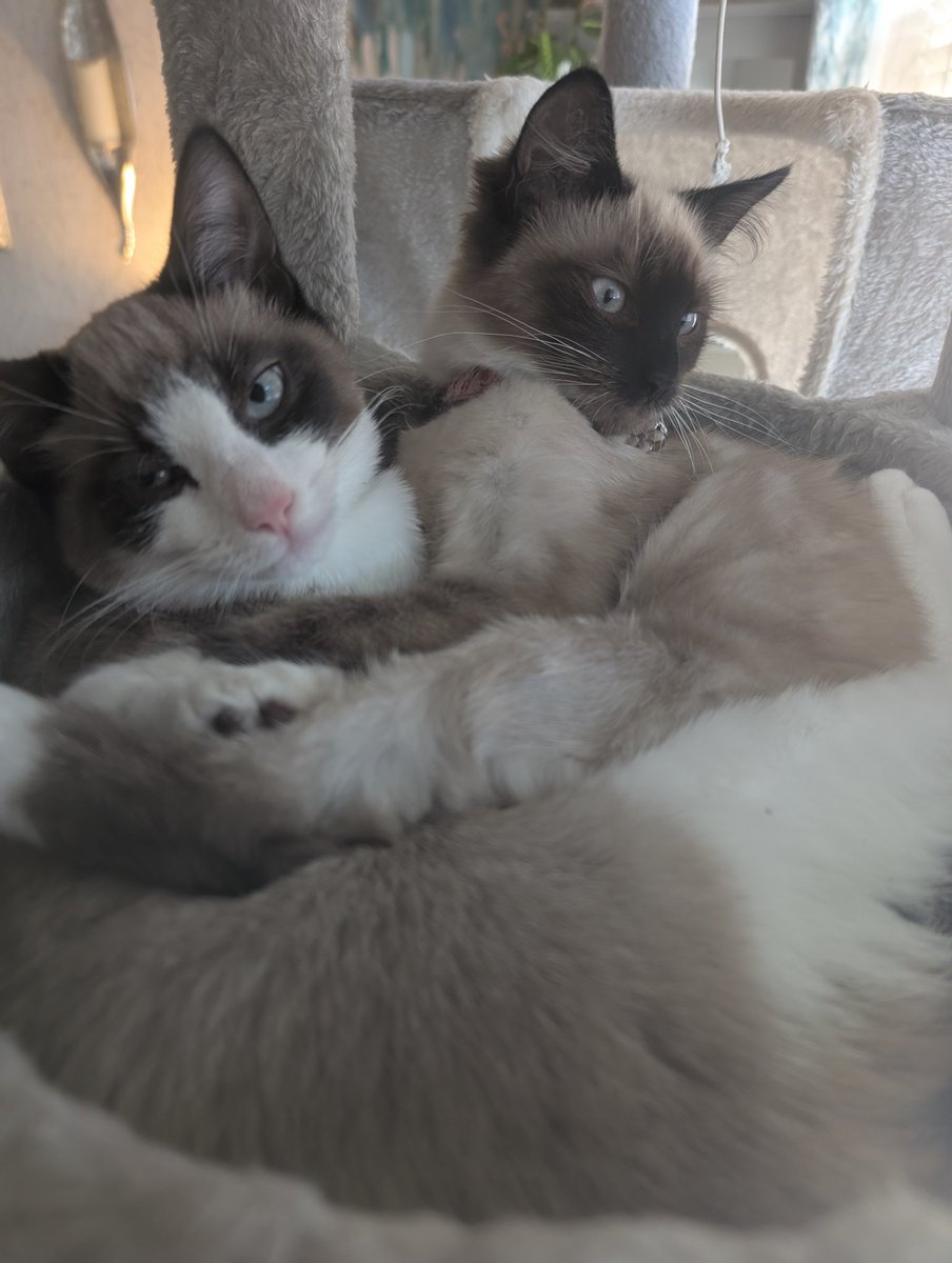 Slightly Dotty ♥️ tweet media