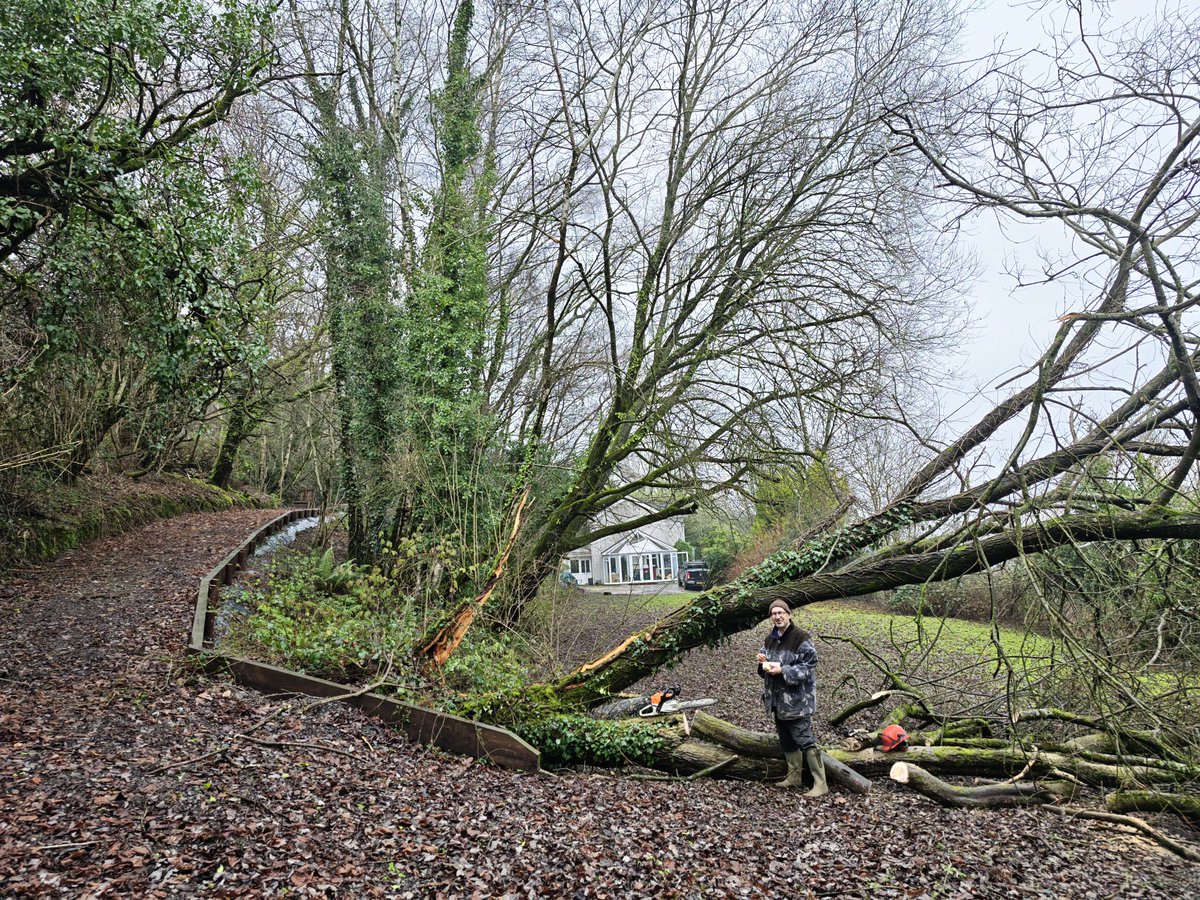 Olinga Taeed tweet media