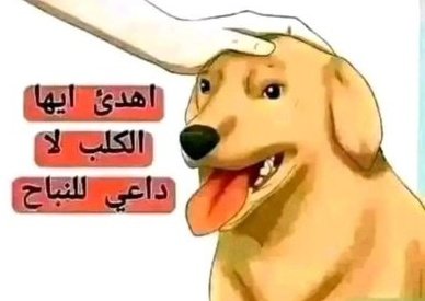 الذيب (@aldib1144) on Twitter photo 