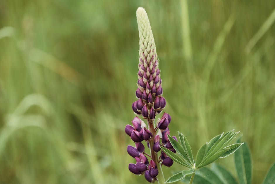 Rachel Eaton tweet media