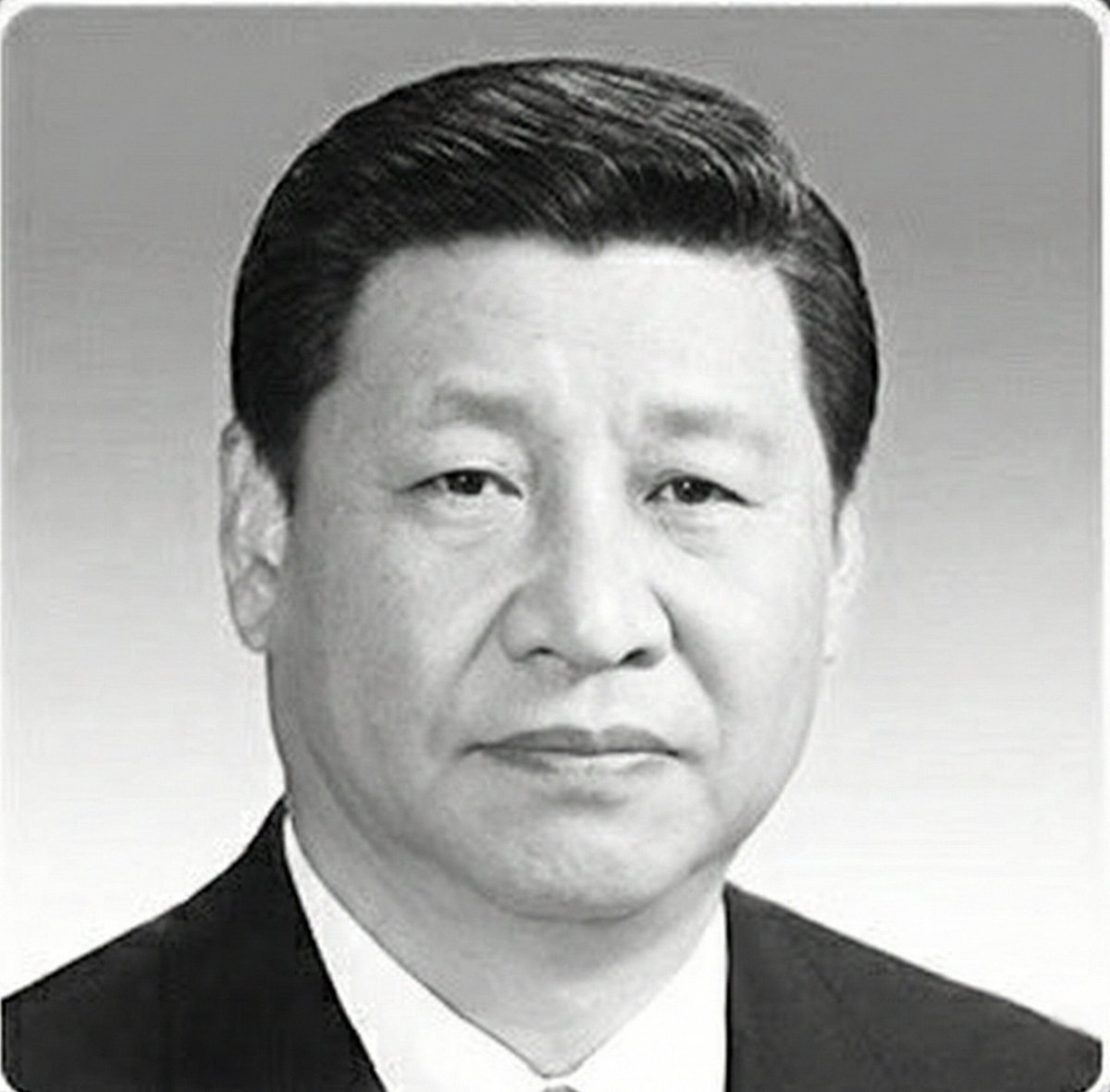 Tiny Reverie🇺🇸✝️ tweet media