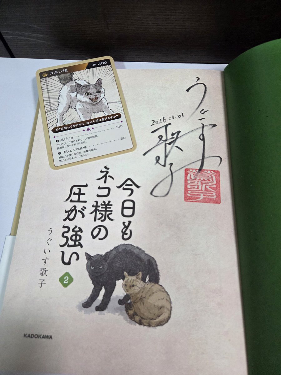 キジネコ様 (@Motidukineko) / Posts / X