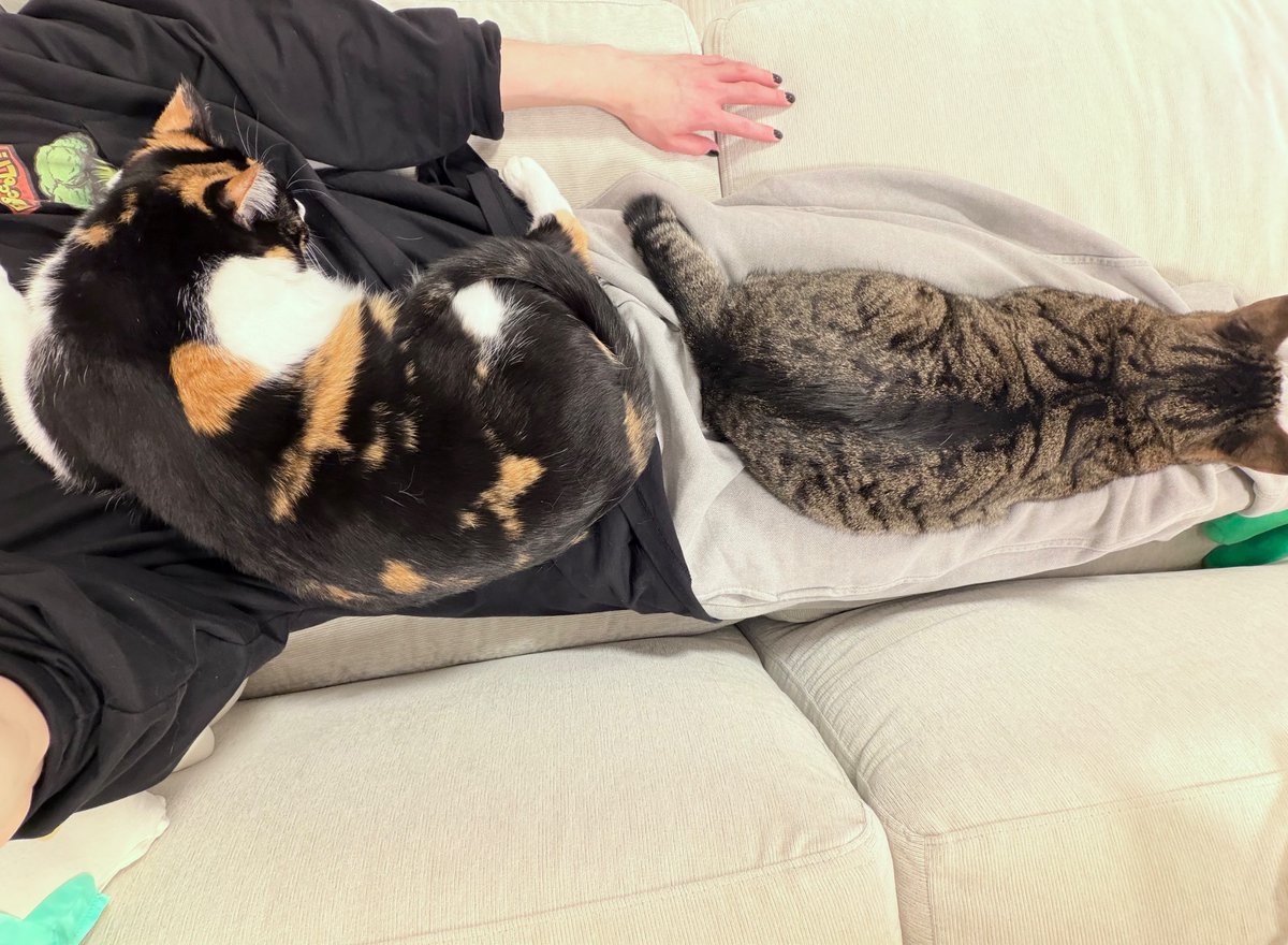 波 (@s_akuma3) / Posts / X