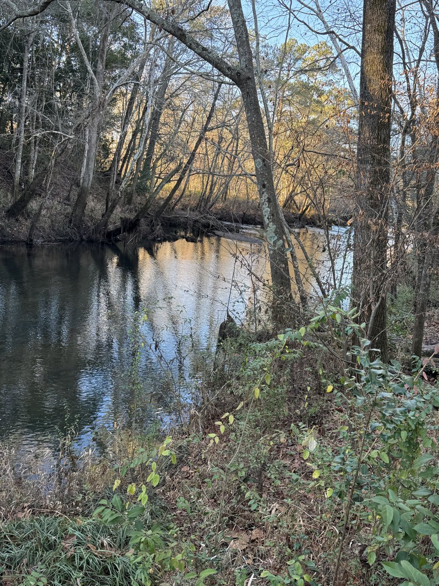 F3Swagger tweet media